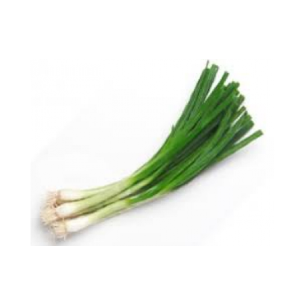 Onion green iceless 2lb pack