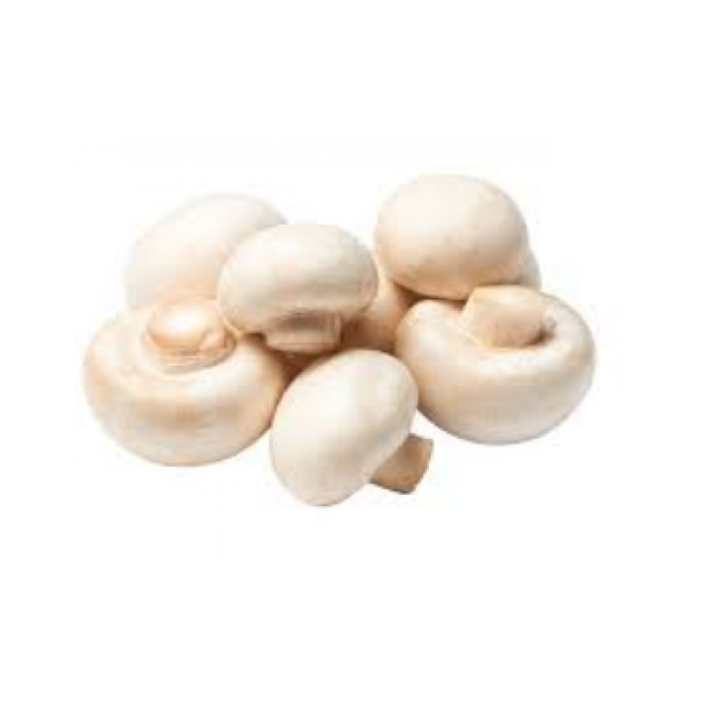 Mushroom white 16oz pack