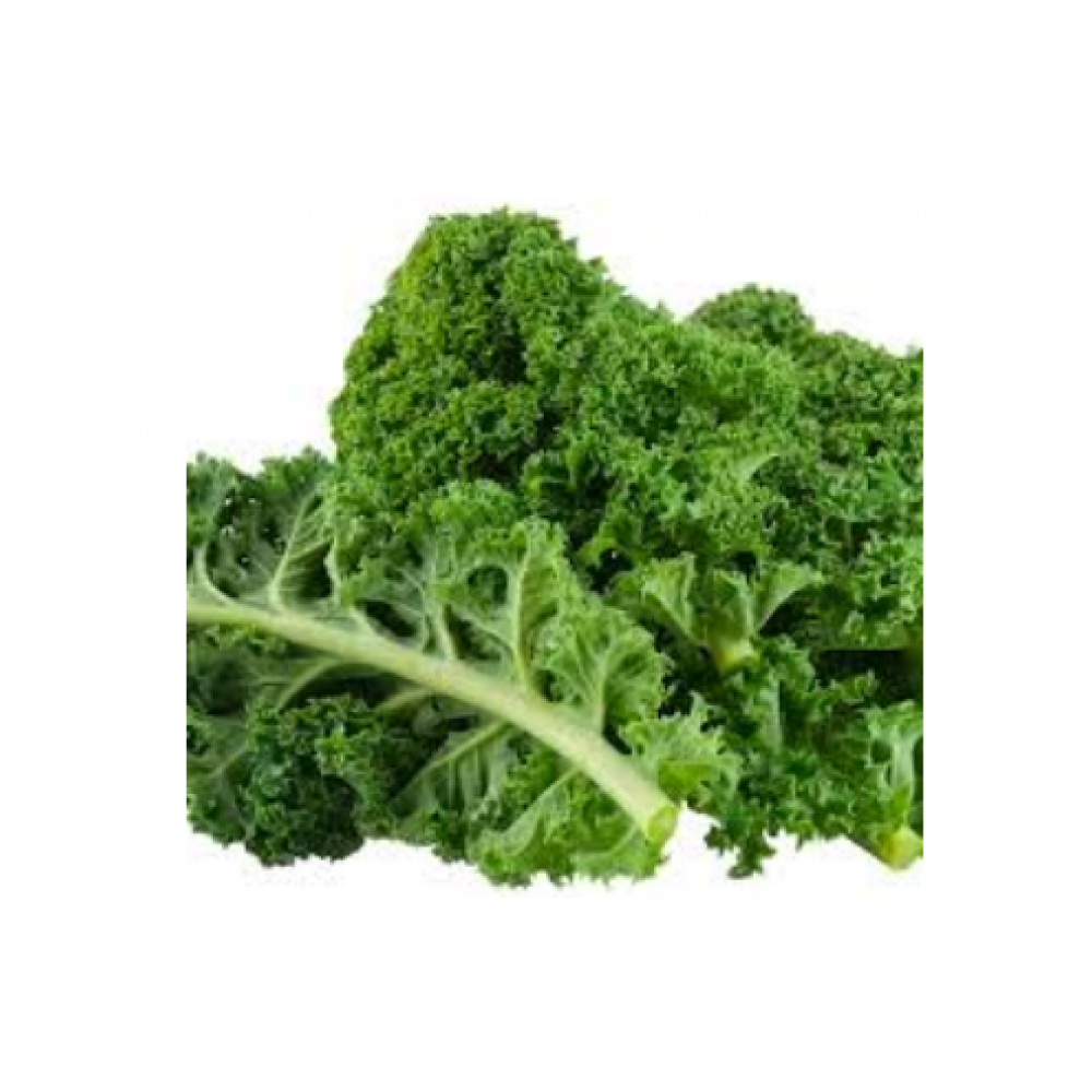 Kale 1lb bag