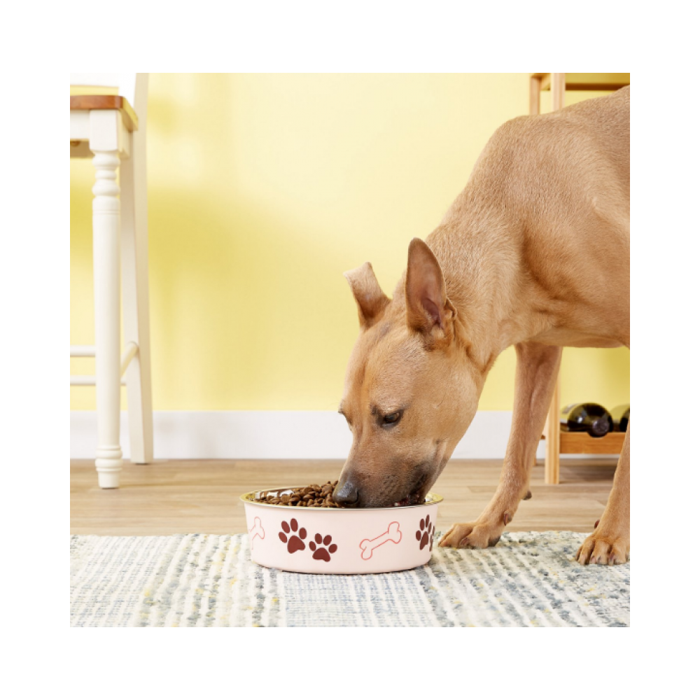 Bella Bowl Extra Large-Paparazzi Pink 