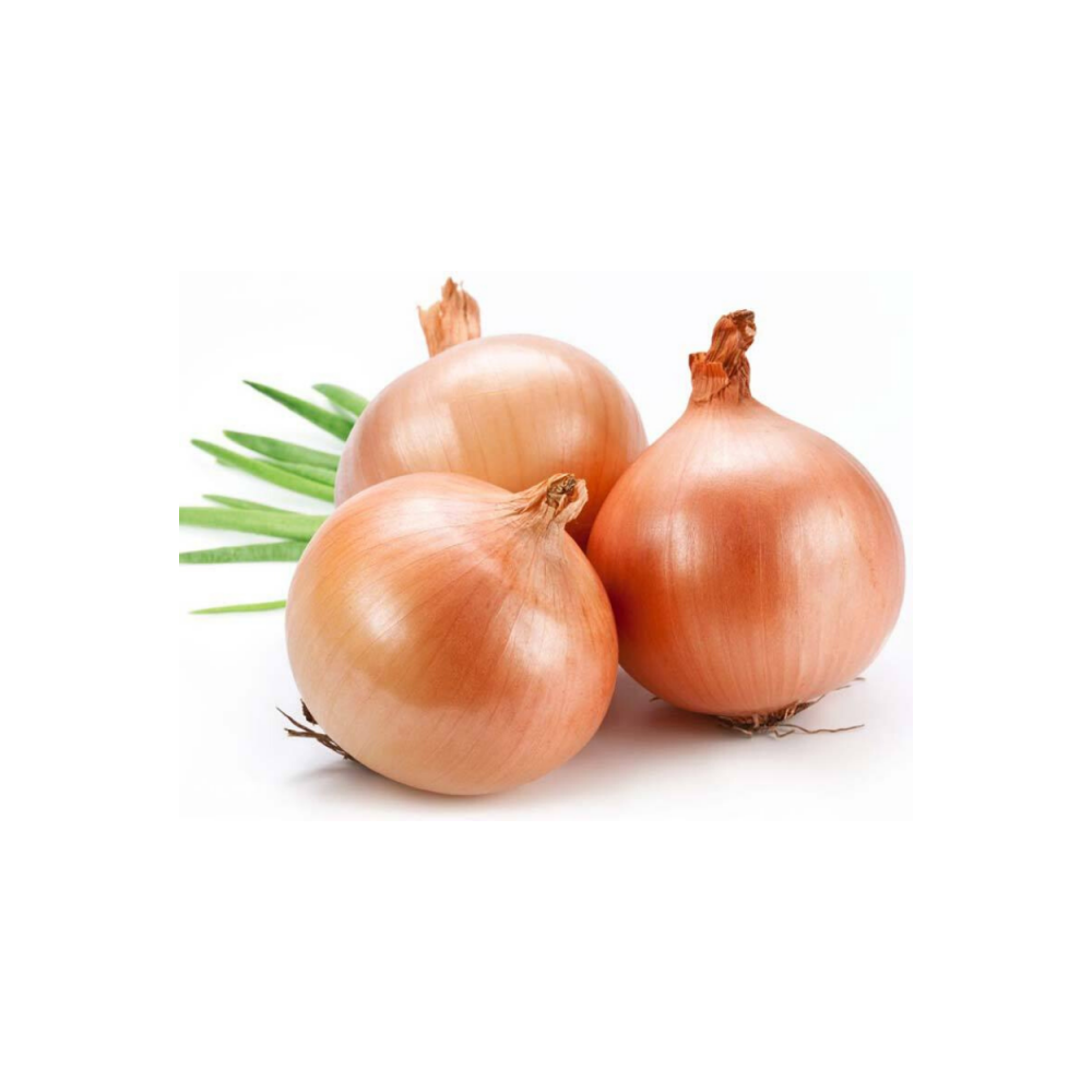 Onion per KG