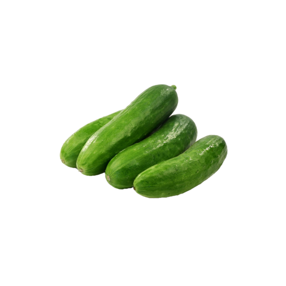 Cucumber per KG