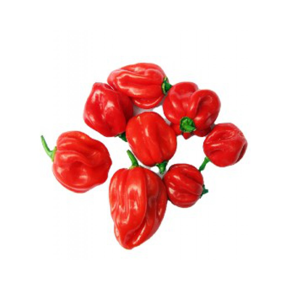 Boppa's herbs hot peppers 35 g