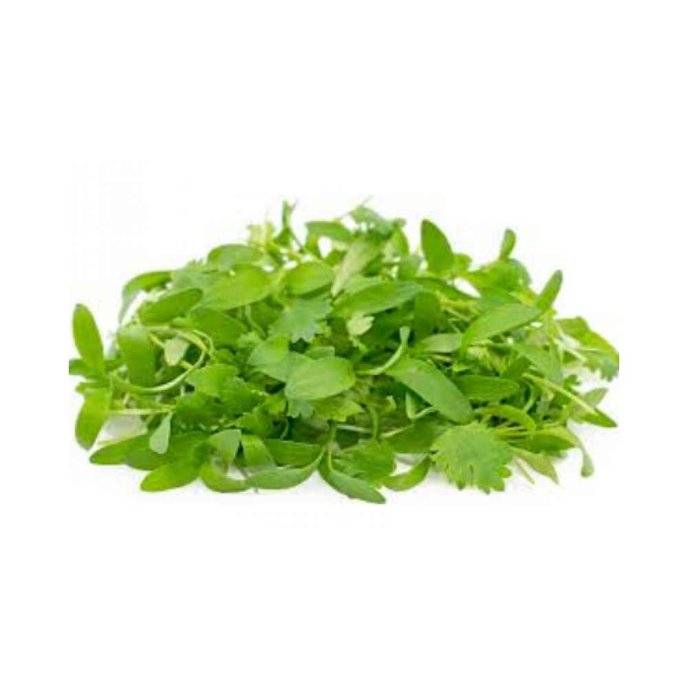 Micro cilantro 8oz pack