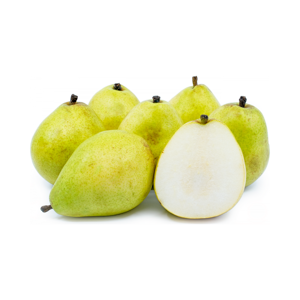 Anjou Pear