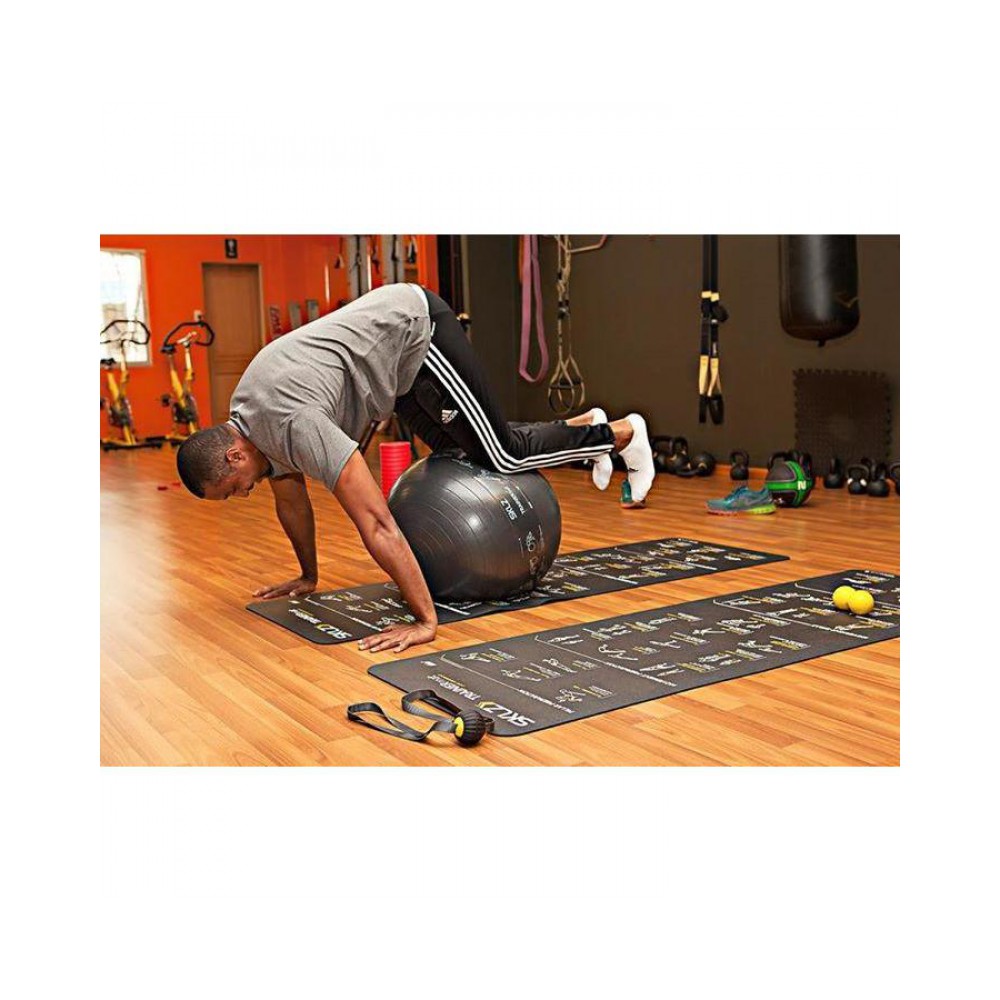 Stability Ball Pro (65cm)