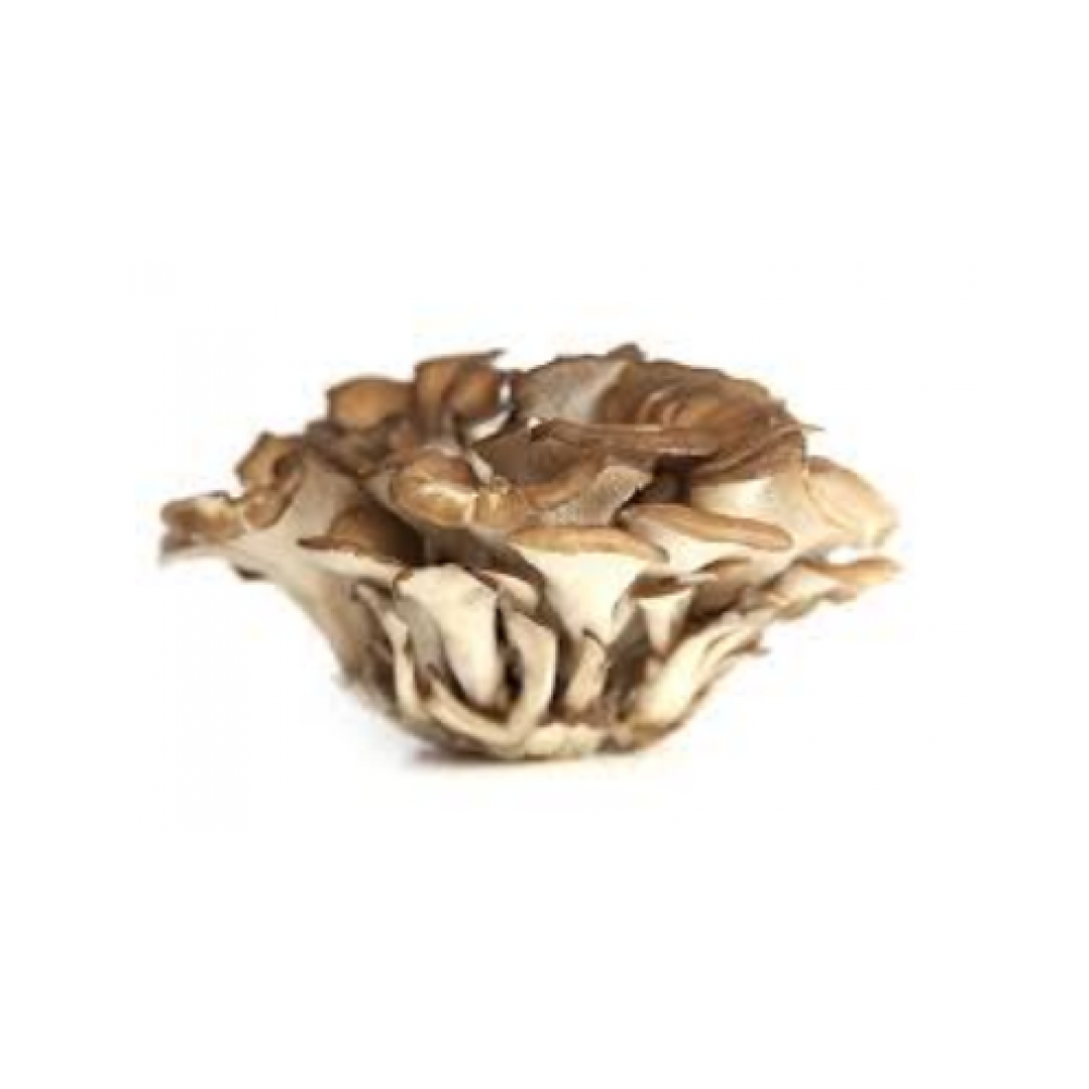 Mushroom maiitake hen of woods 3.5oz pack