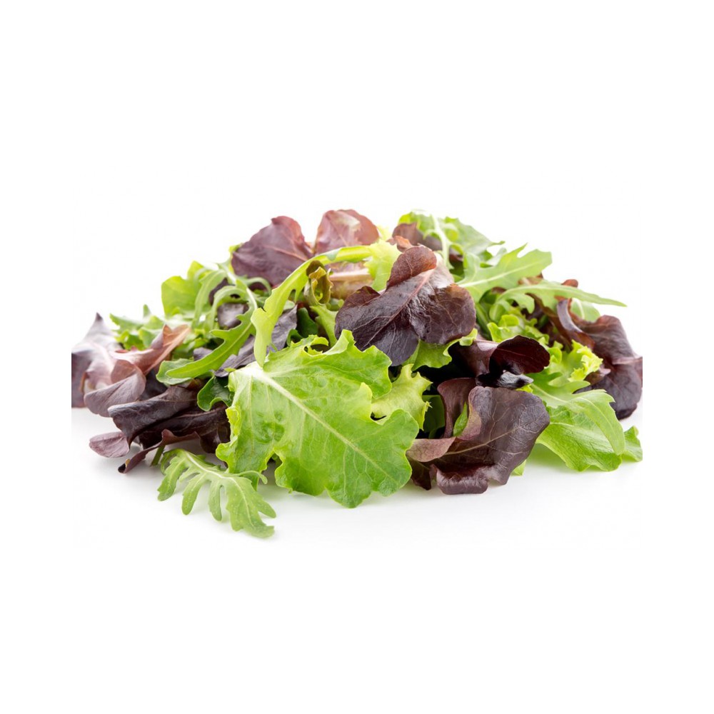 Mix Lettuce per PACK