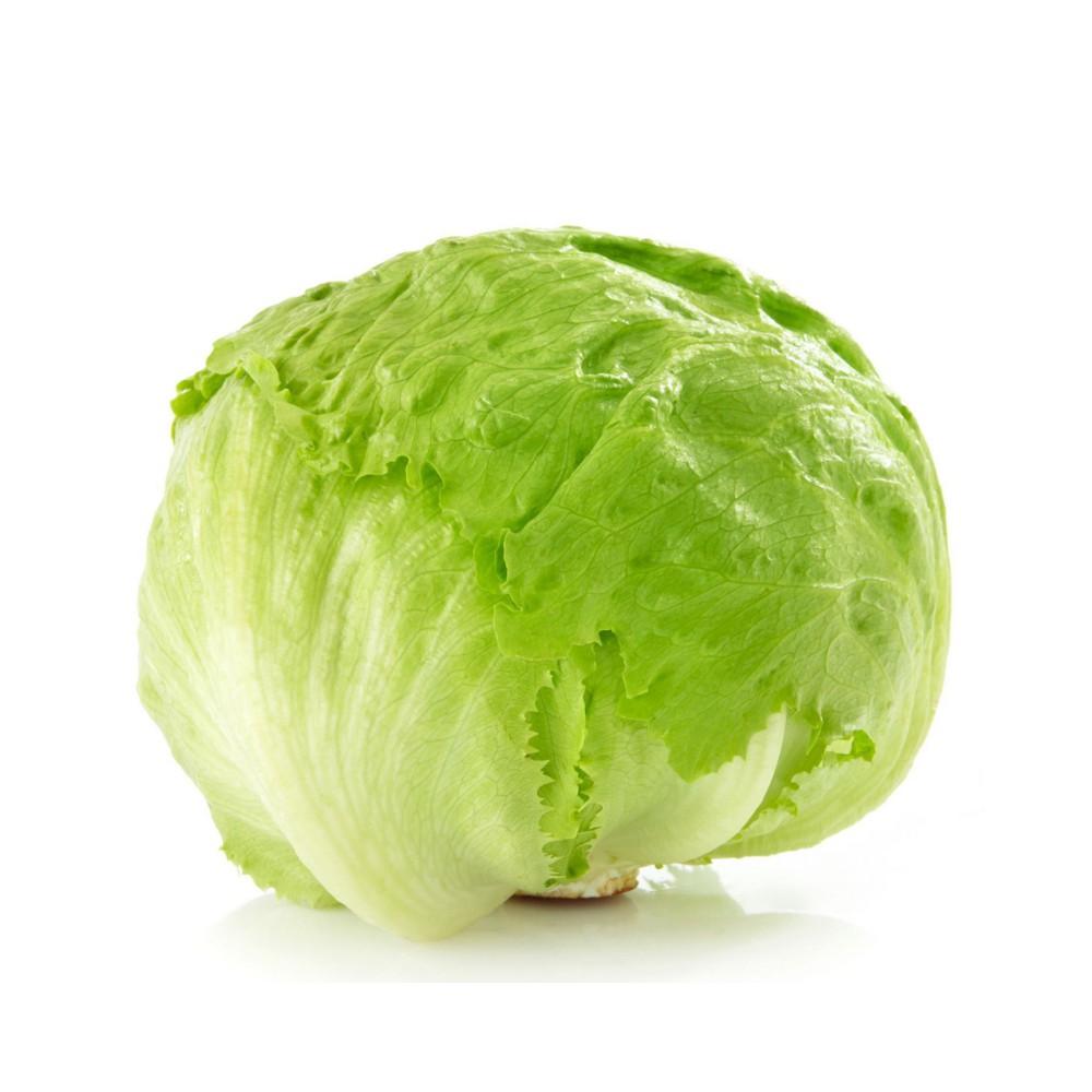 Iceberg Lettuce Per Head