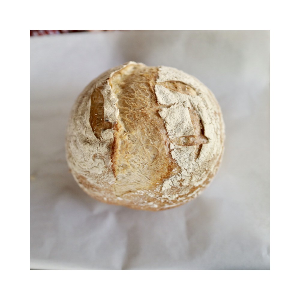 Sourdough Boule 