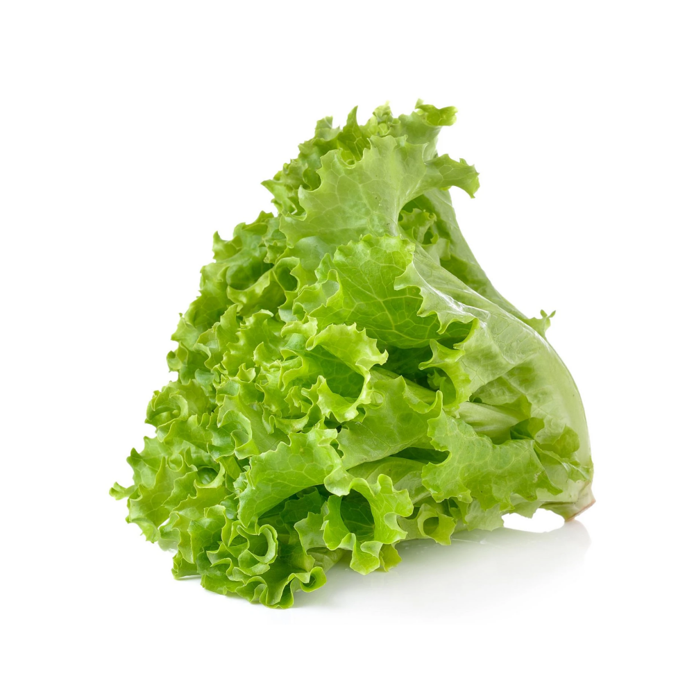 Local lettuce per bag