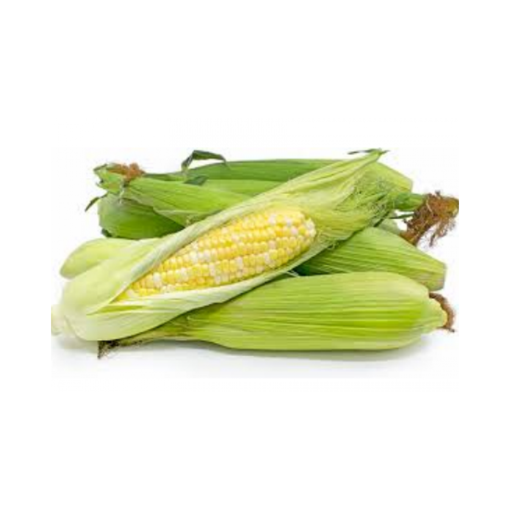 Corn tray pack 4count