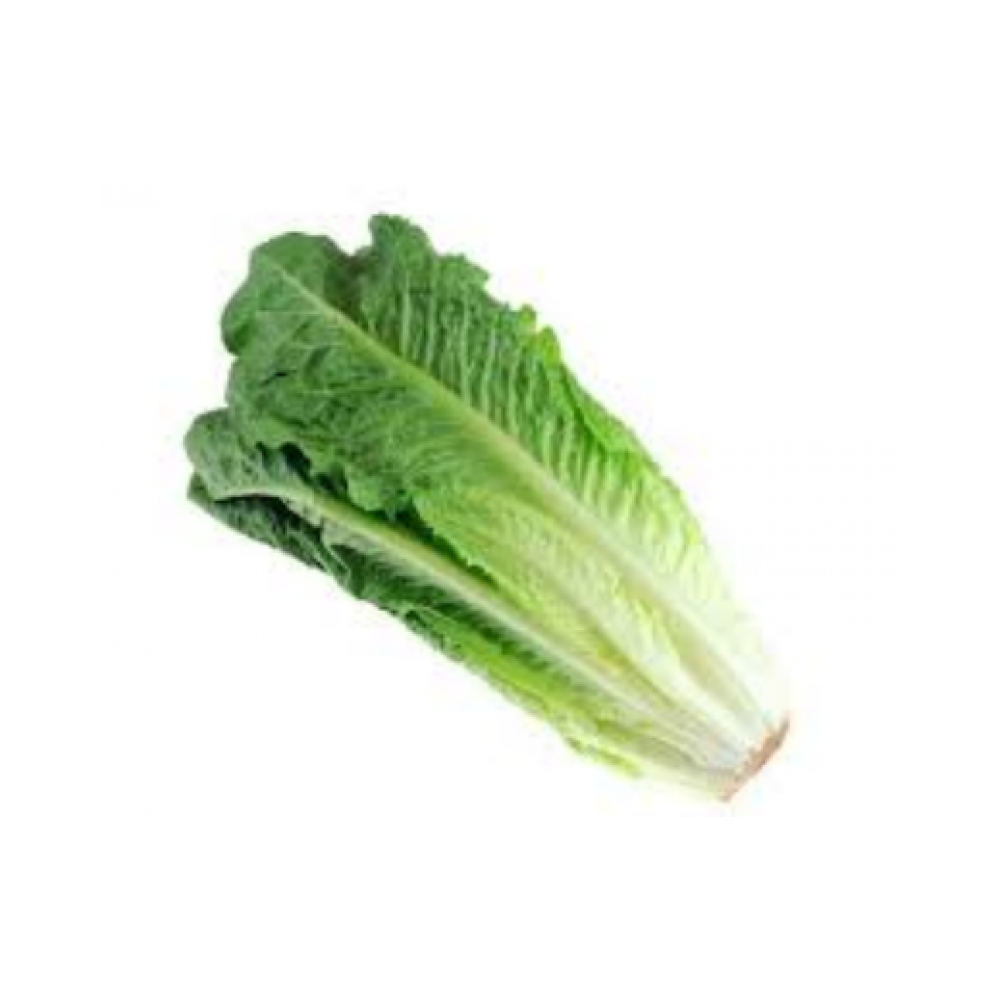 Organic lettuce romaine hearts 3piece